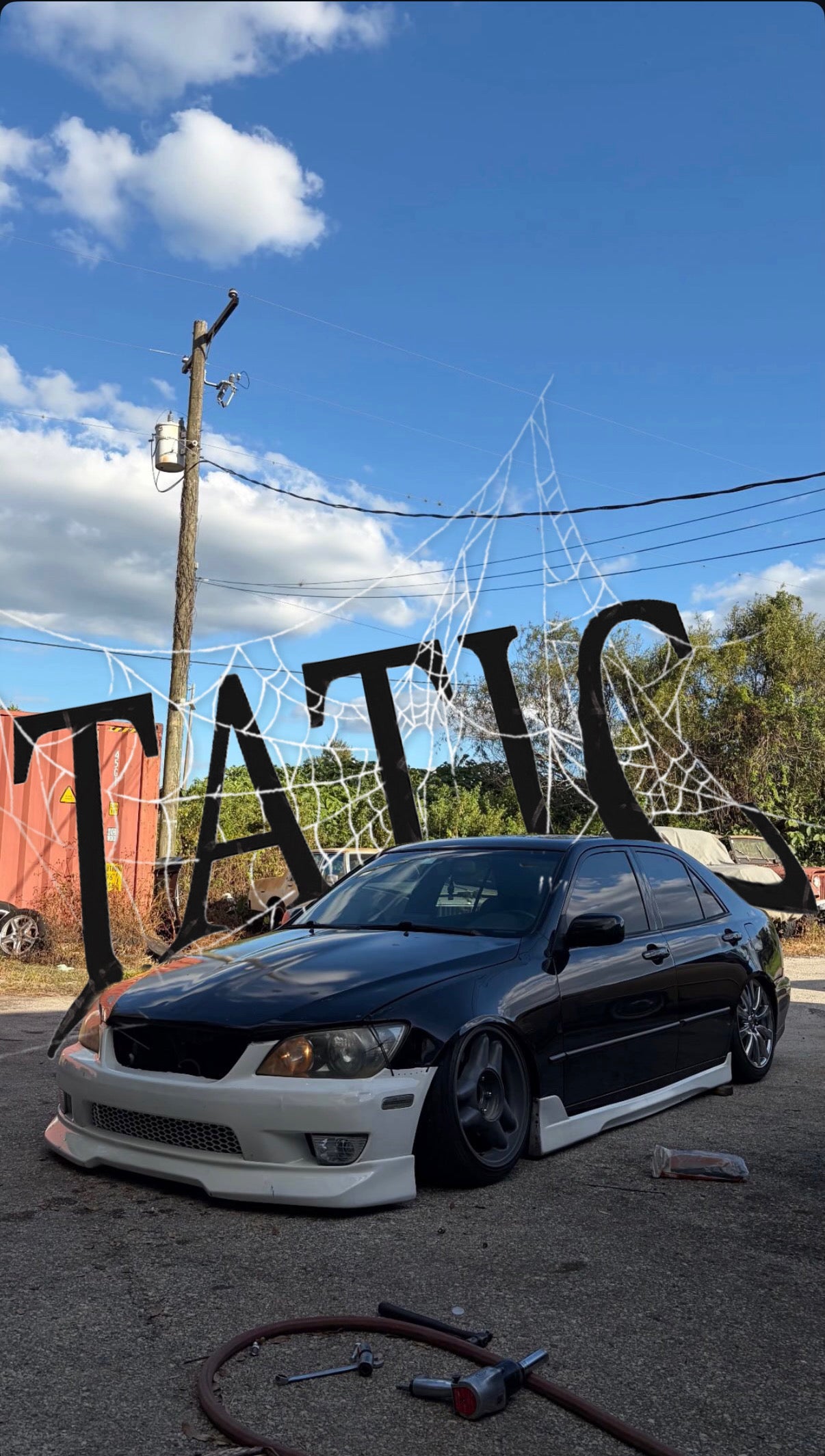 Tatic webbed sticker